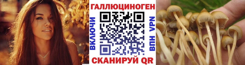 Купить закладки Когалым Псилоцибиновые грибы ЛСД